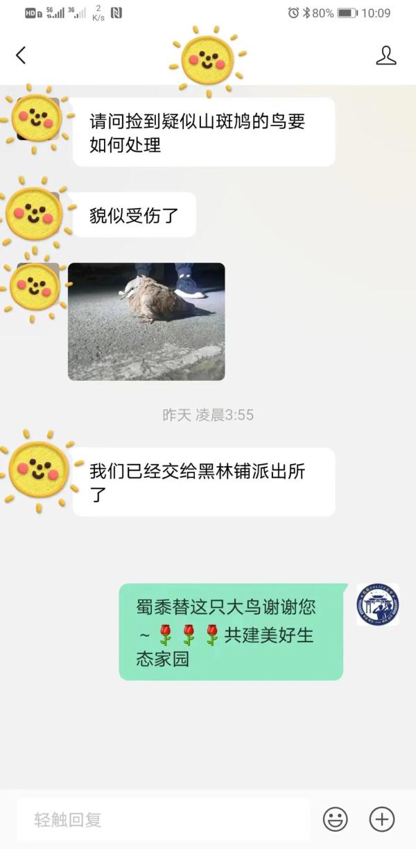 警民携手救“大鸟” 一查身份不简单 警民携手救“大鸟” 一查身份不简单