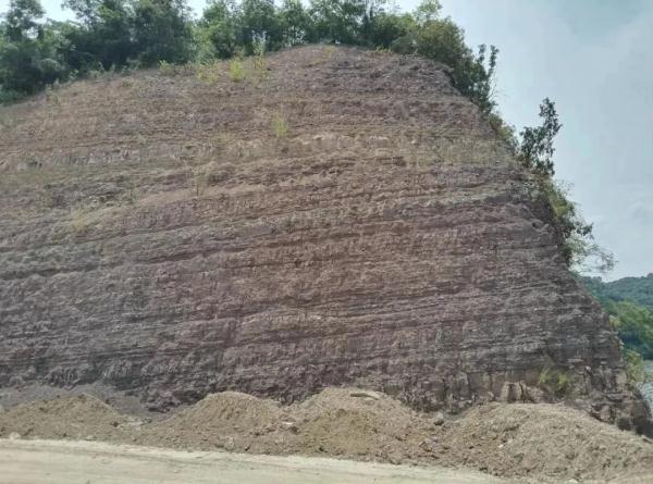 4.4亿年前的它神似表情包 塔里木盆地居然在赤道附近