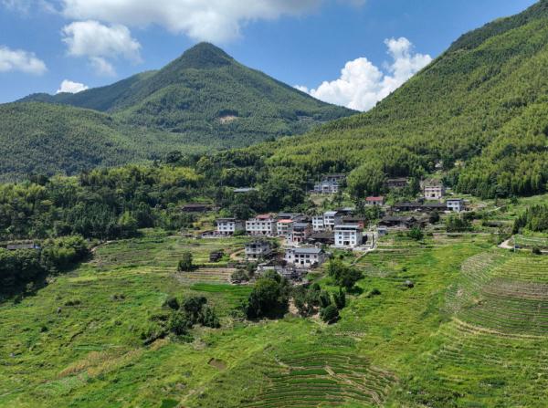 福建尤溪：多彩联合梯田 自然乡村画卷