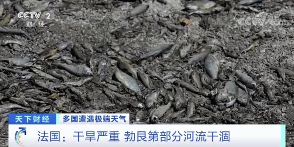 500年来最严重干旱！意大利最长河流几近干涸，已进入“紧急状态”