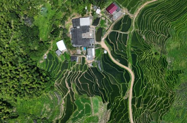 福建尤溪：多彩联合梯田 自然乡村画卷