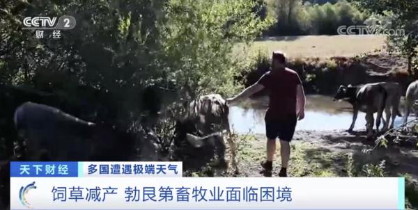500年来最严重干旱！意大利最长河流几近干涸，已进入“紧急状态”