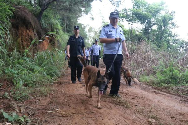 广西藤县深山失踪68个小时的3岁男童找到啦！