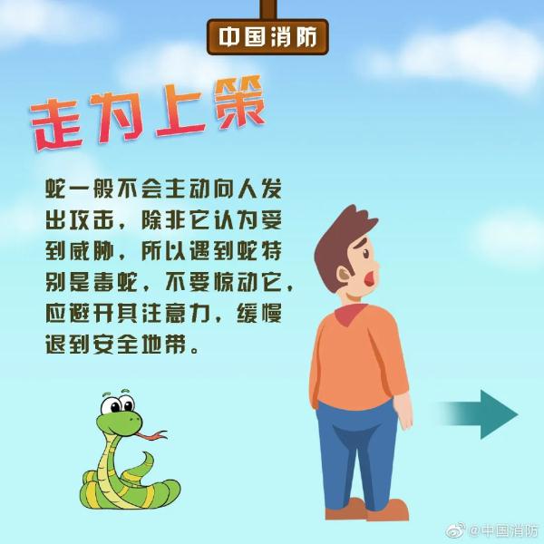 长沙这里有蛇出没！2米多长蟒蛇吓坏路人