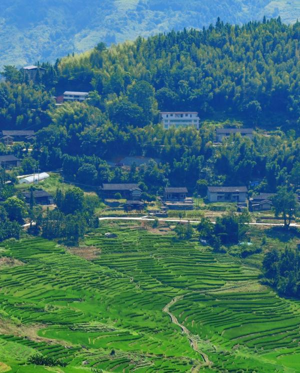 尤溪联合梯田(福建尤溪联合梯田)