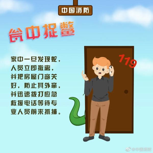 长沙这里有蛇出没！2米多长蟒蛇吓坏路人