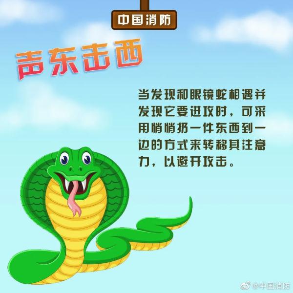 长沙这里有蛇出没！2米多长蟒蛇吓坏路人