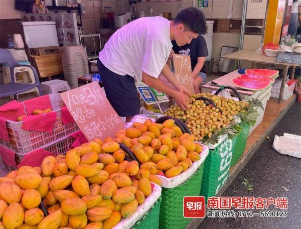 全国都羡慕的广西水果自由！红心火龙果1元1个，便宜的原因是……