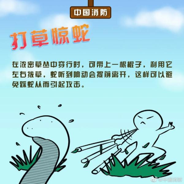 长沙这里有蛇出没！2米多长蟒蛇吓坏路人