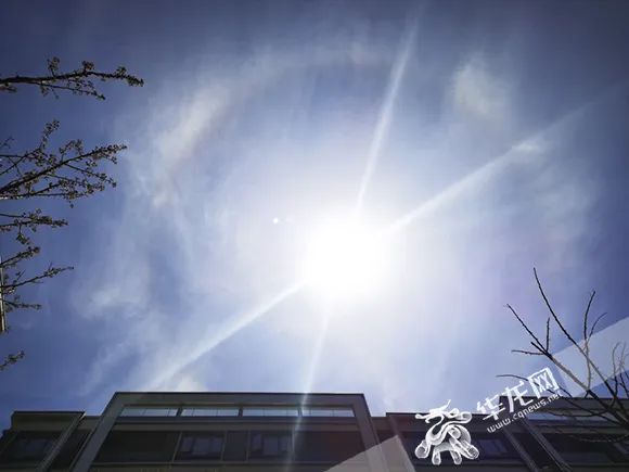 日晕你看到了吗？ 重庆今起三天仍将持续高温最高将至44℃