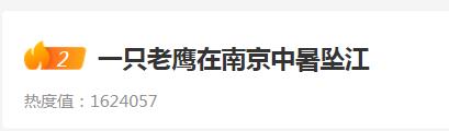 热懵了！全国多地40℃+，一大波动物中暑……广东即将加入高温群聊