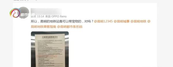 宠物到底能不能进地铁站？网友有疑问，回复来了！