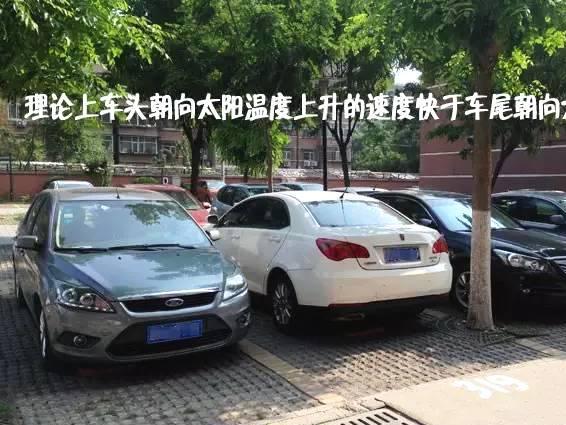 小心它们的“爆”脾气！