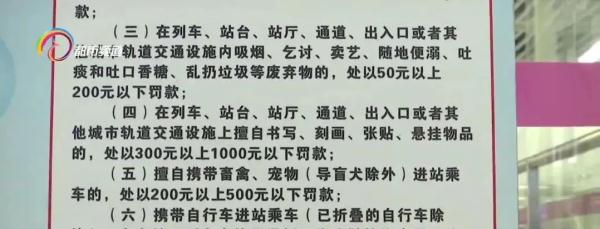 宠物到底能不能进地铁站？网友有疑问，回复来了！