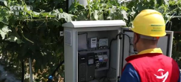 浙江杭州：干旱天气保障菜篮子 农场内排灌站浇水忙