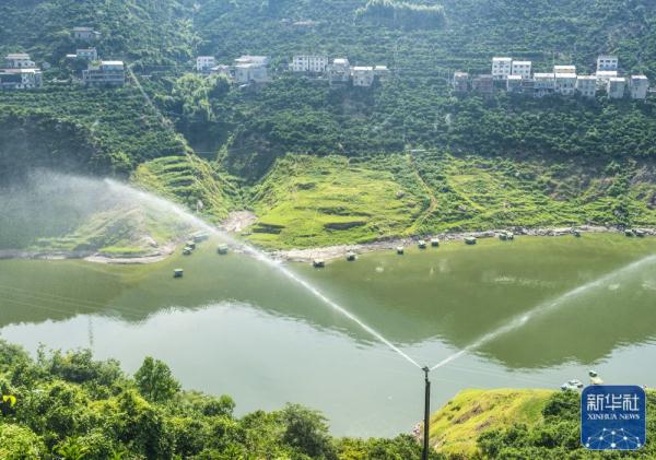 湖北秭归：做好抗旱保供水工作