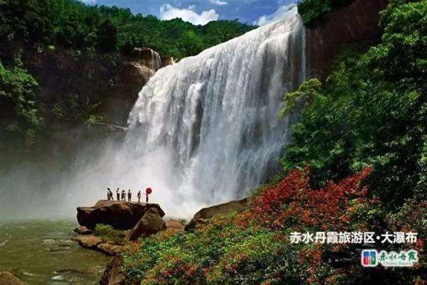 热懵了！全国多地40℃+，一大波动物中暑……广东即将加入高温群聊