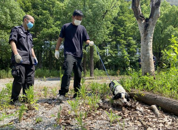 报警类警情同比降33.9%!上海公安夏季治安打击整治“百日行动”获阶段性成效 报警类警情同比降33.9%!上海公安夏季治安打击整治“百日行动”获阶段性成效