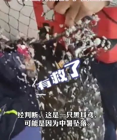 今年首个红色预警发布！山东这波也没“逃过”……