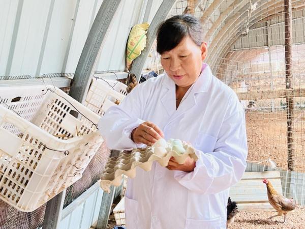 河北涞水：特色养殖鼓起农民“钱袋子”