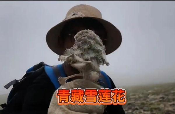 网红主播已遭封禁!警方介入调查 网红主播已遭封禁!警方介入调查