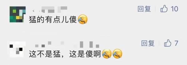 街头惊现"猛"字车牌！这是打哪儿来的？