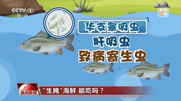 用酒泡过就能杀菌？生食海鱼比淡水鱼更安全？专家：误区！有人食用后感染寄生虫！