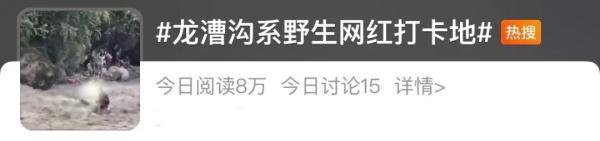 龙漕沟是野生网红打卡地？多平台上线提醒……