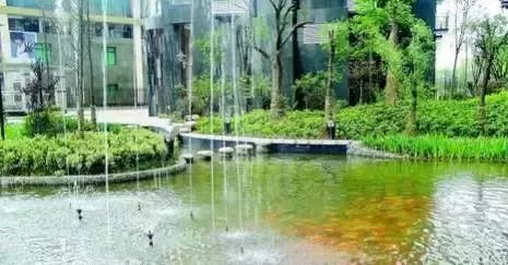 惊险！江西两儿童不慎坠落电梯井......