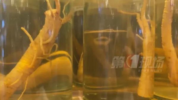一杯“熬夜水”≈15片人参？医生：不是谁都能喝！
