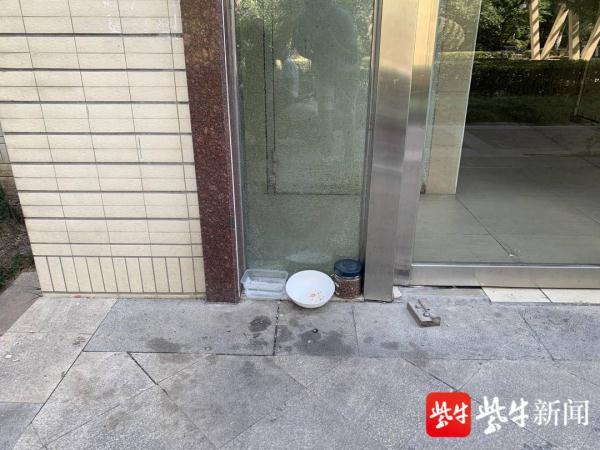 南京一小区上百人被流浪猫所伤？记者探访发现系夸大
