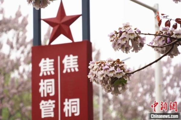 人这一辈子，一定要去一趟兰考