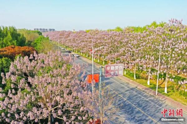 人这一辈子，一定要去一趟兰考