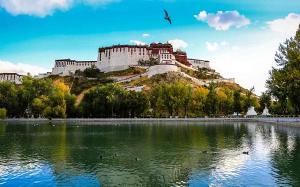 重要！西藏七地市发布最新公告