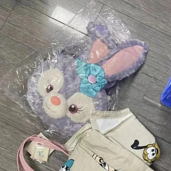 玲娜贝儿“骨折价”？民警冲入直播间抓走霸榜带货大V！网友都看傻