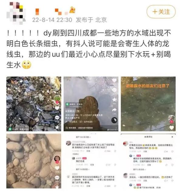多地水域出现不明长条细虫，目击者：像面条一样！四川疾控回应