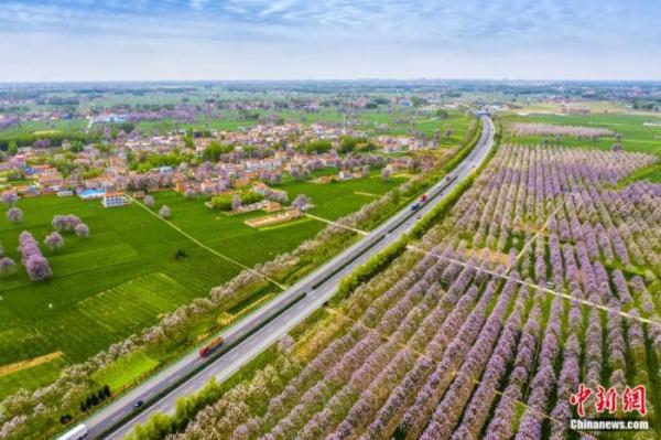 人这一辈子，一定要去一趟兰考