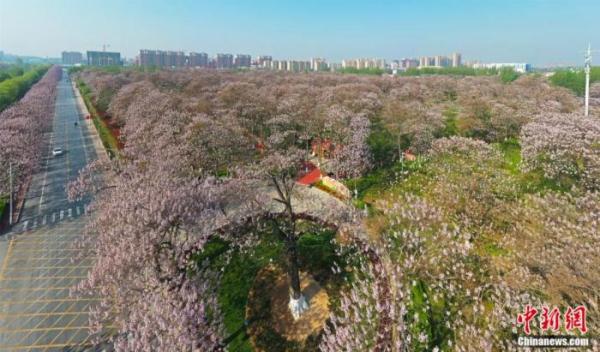 人这一辈子，一定要去一趟兰考