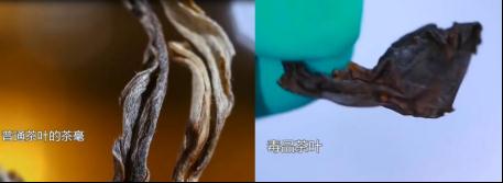 新型毒品难辨认？揭开新型毒品的伪装“外衣”