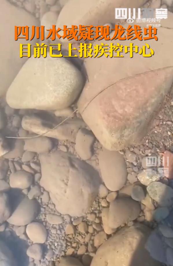 热搜第一!吓到全网的这个虫子,官方解释来了 热搜第一!吓到全网的这个虫子,官方解释来了