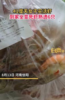 仙人掌“化了”、活虾“熟了”、冰墩墩“晒黑了”……68个国家站气温破极值，有你家乡吗？