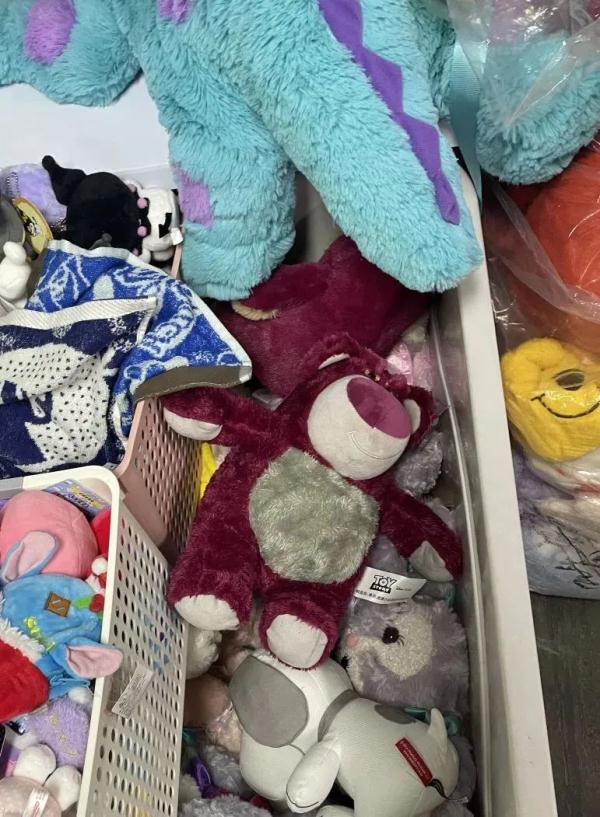 玲娜贝儿“骨折价”？民警冲入直播间抓走霸榜带货大V！网友都看傻