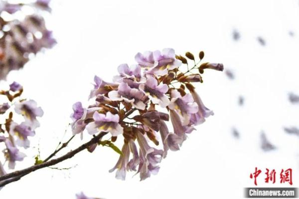 人这一辈子，一定要去一趟兰考