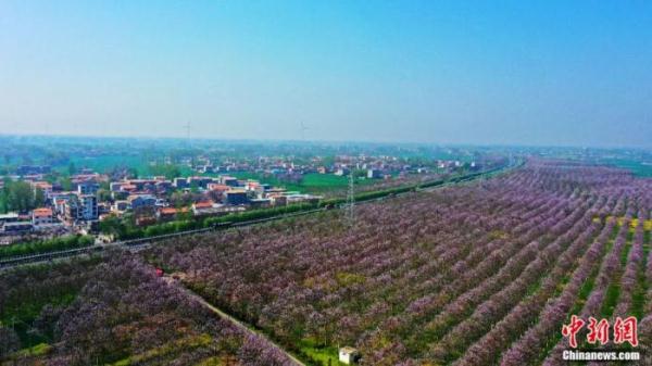 人这一辈子，一定要去一趟兰考