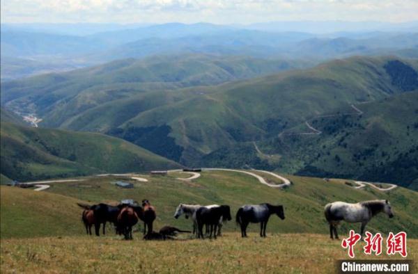 四川壤塘上蓝天路:沿线居民致富的幸福“天路” 四川壤塘上蓝天路:沿线居民致富的幸福“天路”