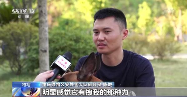 特殊“铁警”烈日下坚守岗位 靠嗅觉保障暑运安全