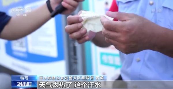 特殊“铁警”烈日下坚守岗位 靠嗅觉保障暑运安全