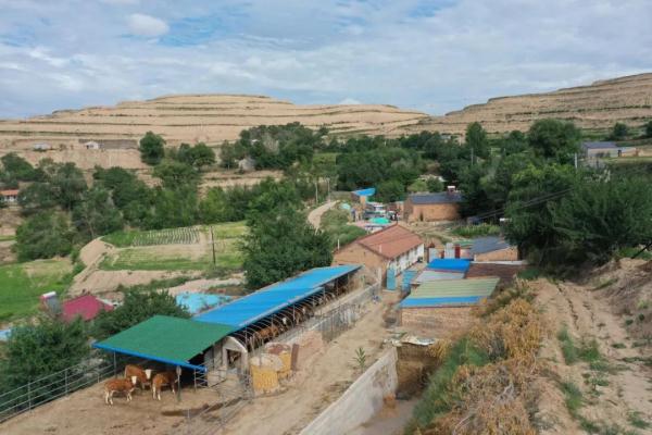 励志！西吉贫困女孩考入浙江大学！获阿里巴巴万元奖学金