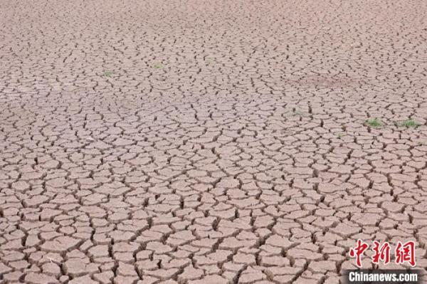 四川内江、广安等地高温干旱严重 消防送水解渴忙 四川内江、广安等地高温干旱严重 消防送水解渴忙