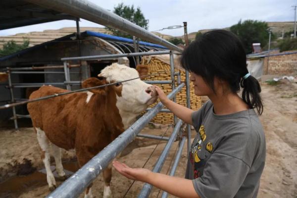 励志！西吉贫困女孩考入浙江大学！获阿里巴巴万元奖学金